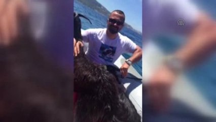 Mahsur Kalan Keçiler Lastik Botla Kurtarıldı