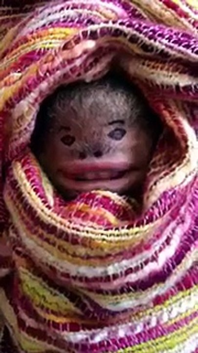cute baby