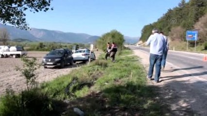 Yola Çıkan Köpek Kazaya Neden Oldu: 4 Yaralı