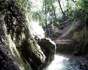 Canyon Furon bas (Only You Can Rock Me)