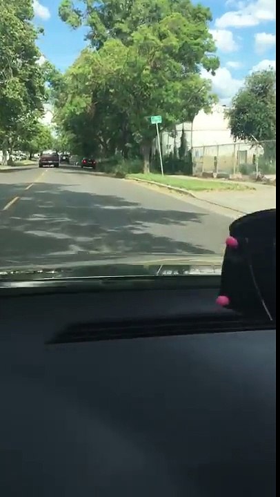 Elle voit un chien qui court à côté d'une voiture, mais quand elle remarque ÇA? Inacceptable!