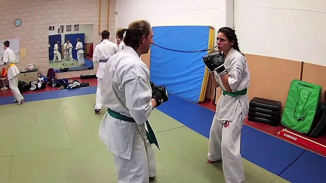 ASO Preparation Physique Spécifique shin kyokushinkai Europe 2016