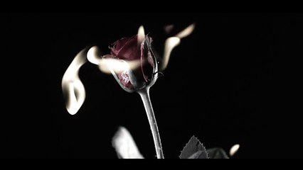 Tarık - Hüzün Mevsimi (Official Video)