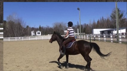 Laurie - Équitation - Le 30 avril 2016.