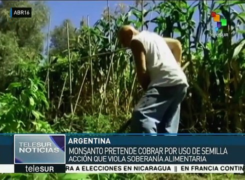 Argentinos denuncian falta de regulación sobre soberanía de semillas