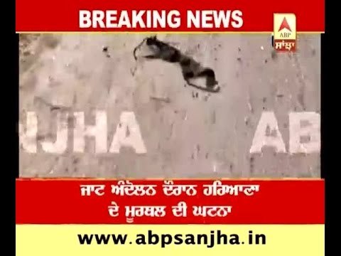 There is possibility of gangrape in Murthal- Haryana Government