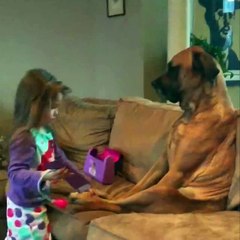 Il était une fois un patient... Très très patient !