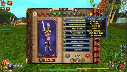 Buy Sell Accounts - Selling 2 Wizard101 accounts lvl ~83 lvl ~84 - SUPER GOOD - MUST WATCH