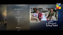 Zindagi Tujh Ko Jiya Episode 41 Promo HD Hum TV Drama 28 April 2016