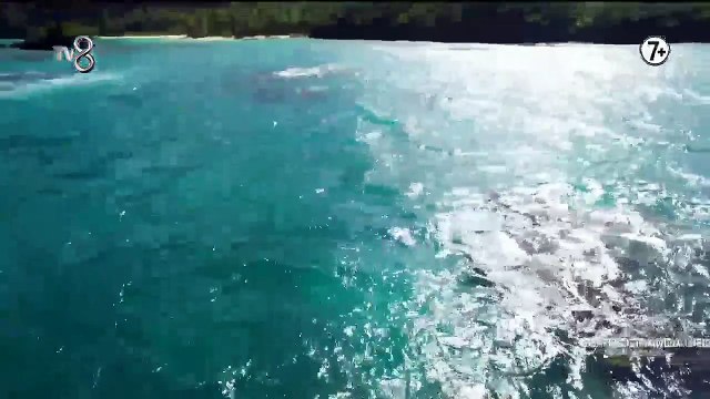 3 Adam'dan birleşme partisine özel unutulmaz Survivor skeçleri... (Tek parça) - Survivor