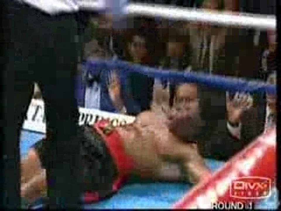 Butterbean