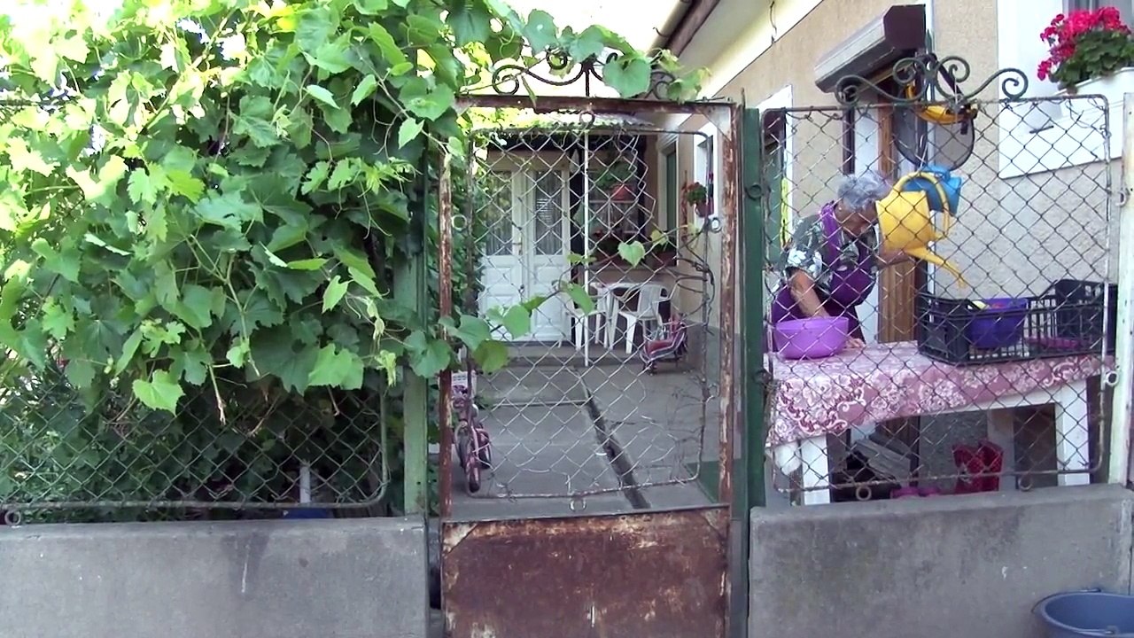 Mezőzombor 2015.07.23. - Doni utak, édesapák, nagyapák nyomában