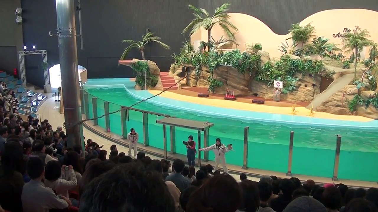 和歌山県 アドベンチャーワールド アニマルアクション／Adventure World（Wakayama）Animal Action