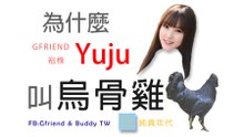 為什麼GFRIEND YUJU 叫烏骨雞 ?