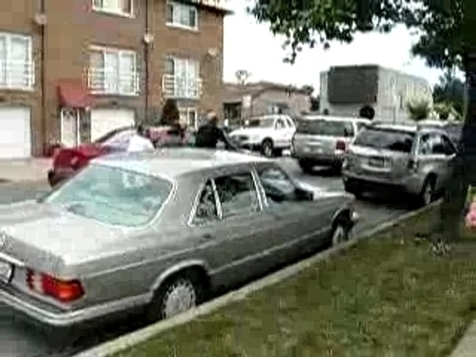 Zoso, Chips, Karin strutting their stuff