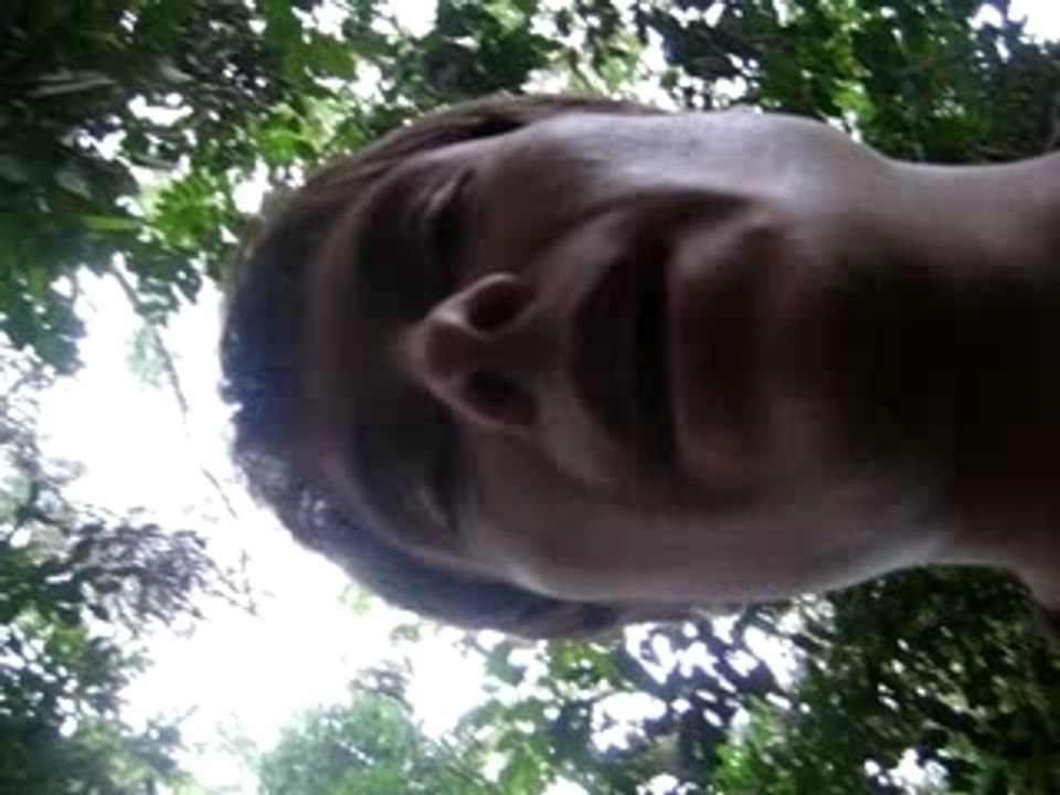 Blairwitch Project