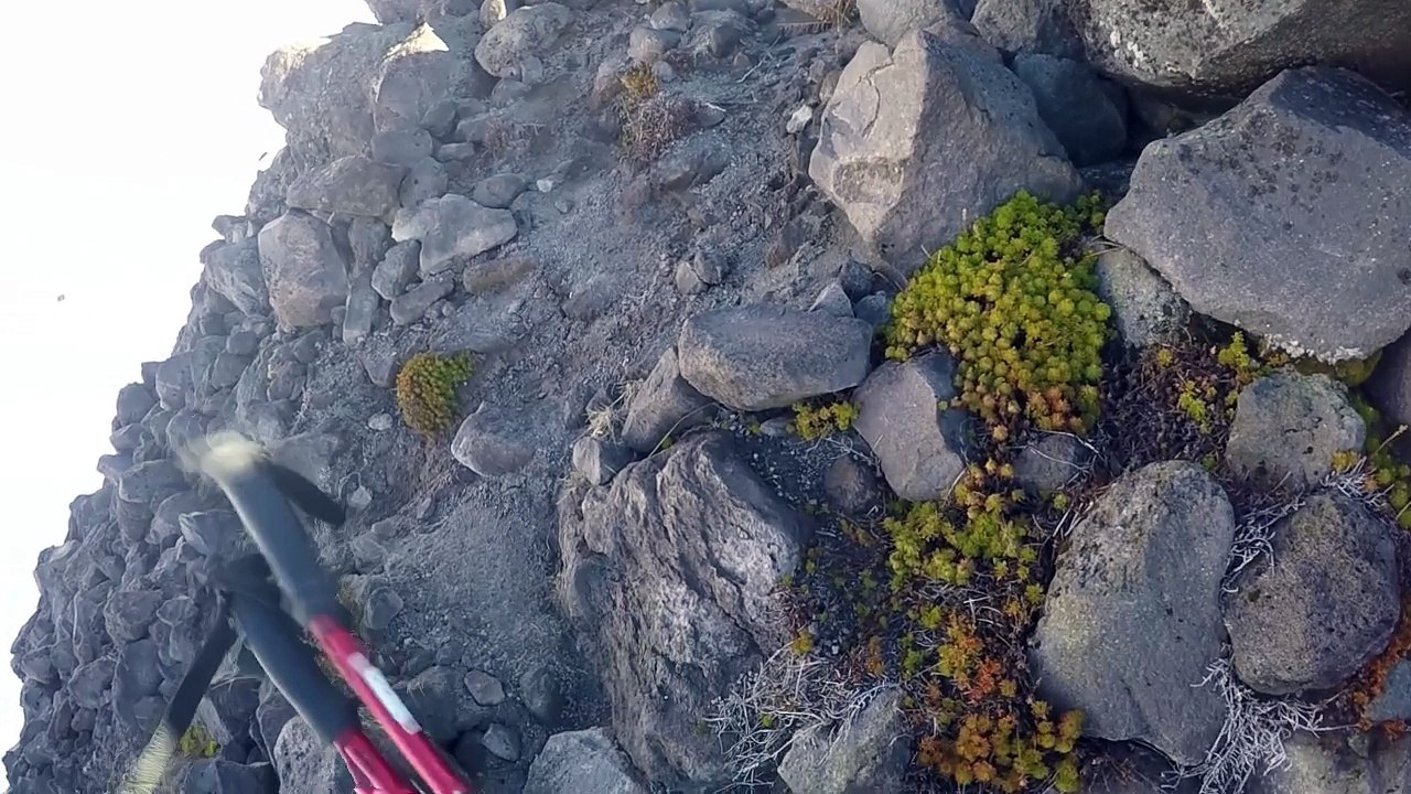 Mt. St. Helens Worm flows winter route