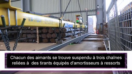 Palonnier monopoutre magnétique avec aimants permanents