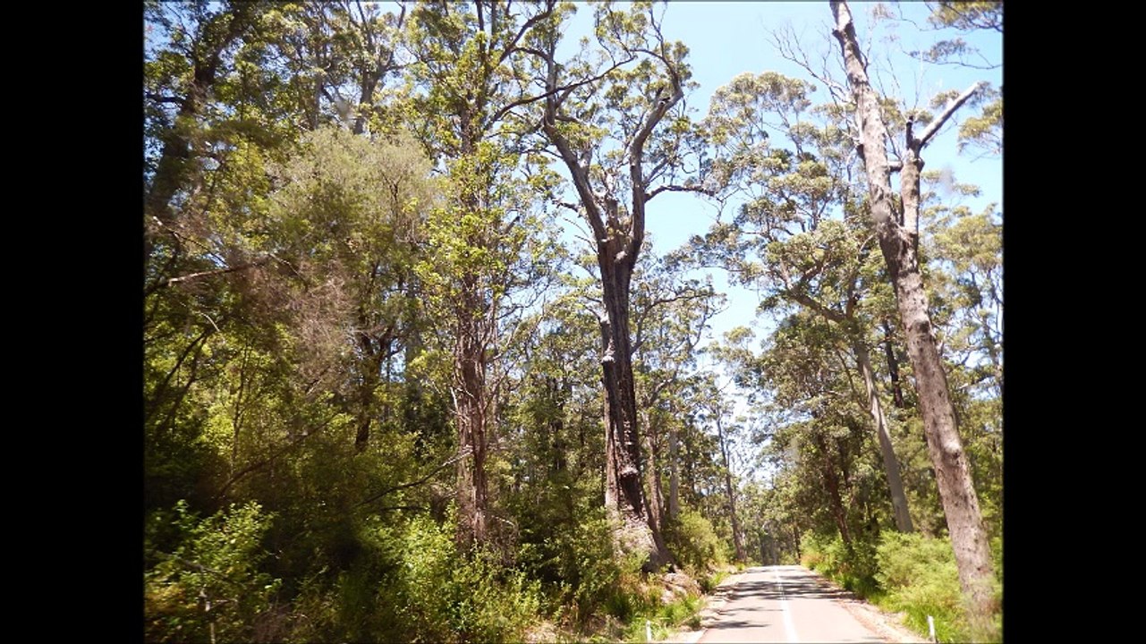 Australia part 2