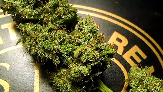 Whitewidow harvest 400w hps day 73