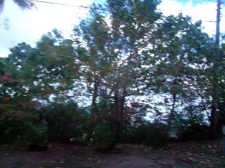 ST. LUCIA 051 P1080676