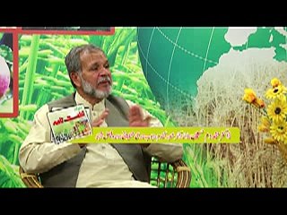 Talkshow on Wheat harvesting