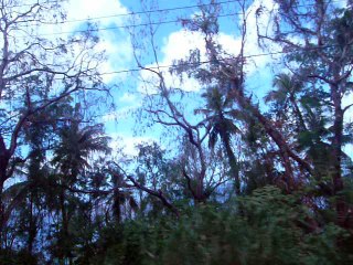 ST. LUCIA 053 P1080679