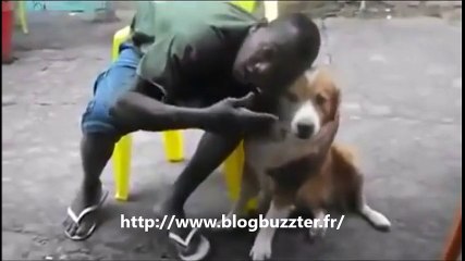 Il se rapproche trop près de la gueule d'un chien