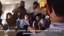 Only In Pak Funniest Pakistan Airlines No A C and passengers barking like dogs Funny Videos