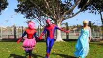 Fat Spiderman vs Hulk w- pink Spidergirl, Frozen Elsa - Fun Superhero in Real Life