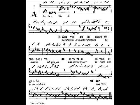 Alleluia Non vos relinquam, Dominica VII Paschae (7è dimanche du T. Pascal)