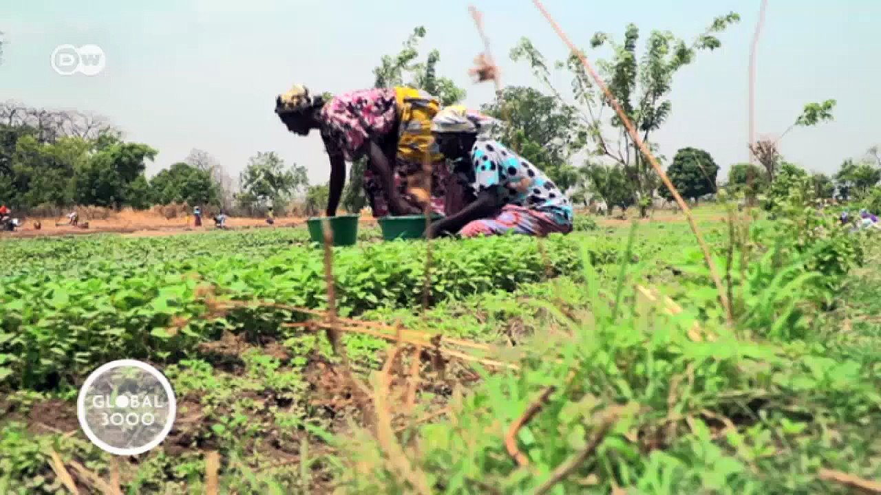 The oil price crisis and its impact on Ghana | Global 3000