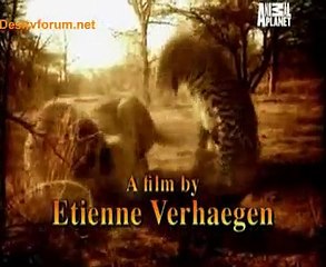 Animal Planet Safari 23rd June 2014 Video Watch Online Pt1