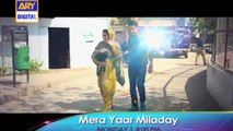 Mera Yaar Miladay - ARY Digital