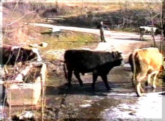 emMOJKRAJ - zimapojilo 1997