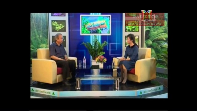 Công dụng của trà dây trị đau bao tử dạ dày [Trà Thảo Mộc HP]