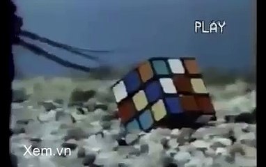 Méo bằng con tôm :v