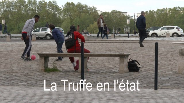 REGARD 392 - Rendez-vous avec Laurent Croizier auteur du PETIT LIVRE SUR LA TRUFFE - RLHD.TV