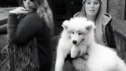 Le clip d'Alicia et Océane