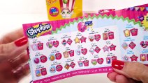 EVERYTHING SHOPKINS! Exclusive Shopkins Foil Tags & Popppy Corn Lunchbox Tin   Surprise Baskets