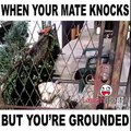 When Your Mate Knocks