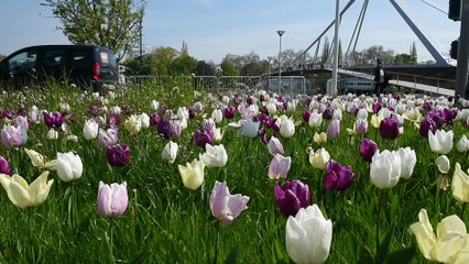 Liège : Inauguration de la passerelle "La Belle Liégeoise"