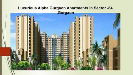 Alpha Gurgaon One Apartments In Sector 84 ,Gurgaon