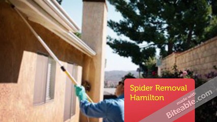 Pest Control Hamilton Ontario | 24 Hour Service