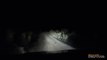 Un Kangourou attaque une voiture de nuit en Australie