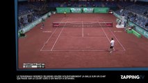 Le tennisman Federico Delbonis envoie la balle sur un chat venu interrompre le match (vidéo)