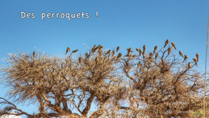 Diaporama Argentine -02 - Cafayate - Cachi Mars 2014