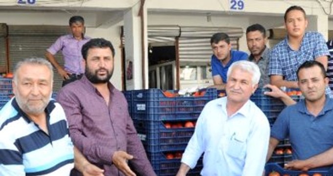 Kışın 3,5 Liraya Kadar Satılan Domates, İhracat Azalınca 50 Kuruşa Düştü