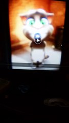 Смешной кот