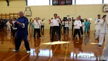 2016 WORLD TAI CHI and QIGONG DAY Wellington, New Zealand-Tai Chi 42 Form Yang Style